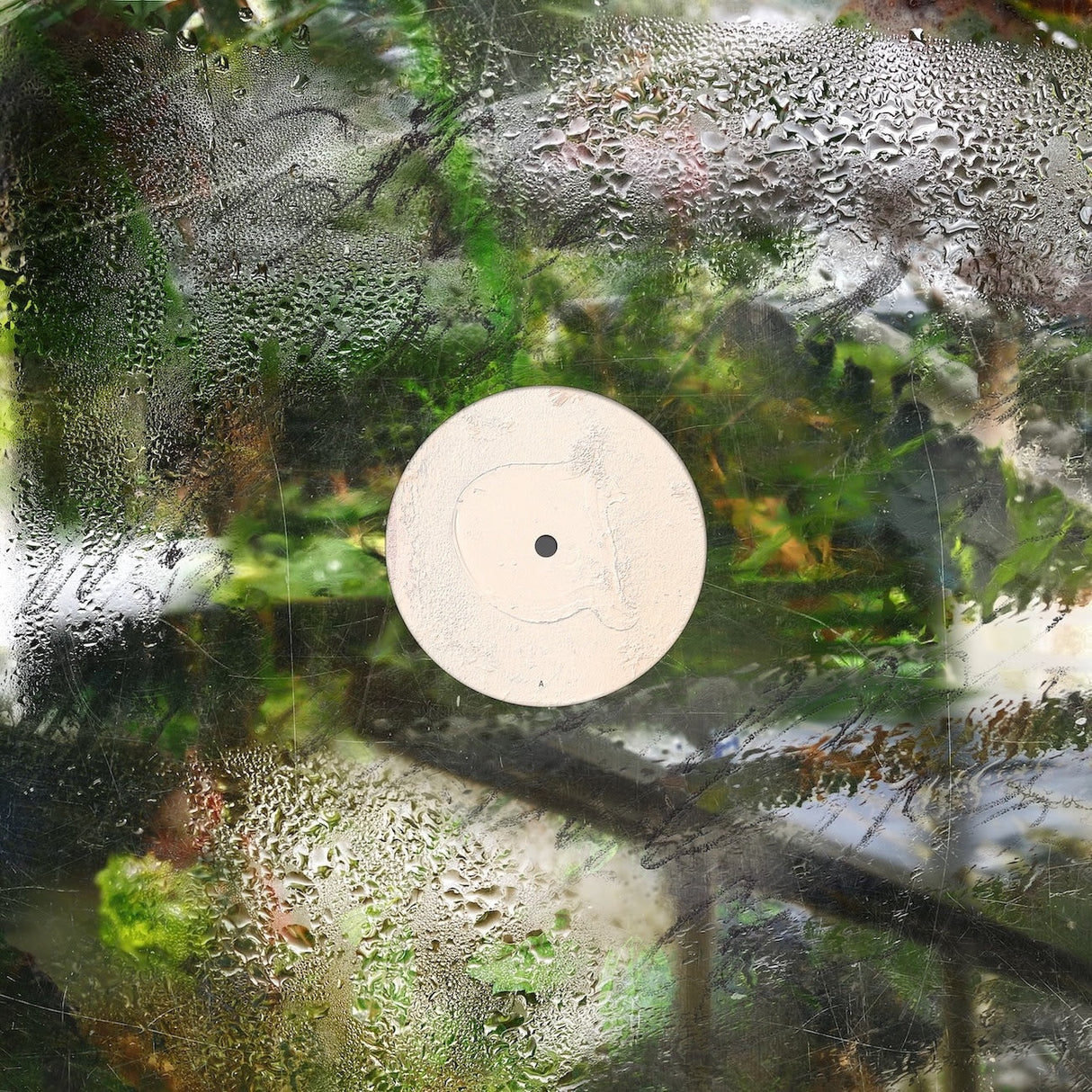 Round beige object on a textured green and brown background